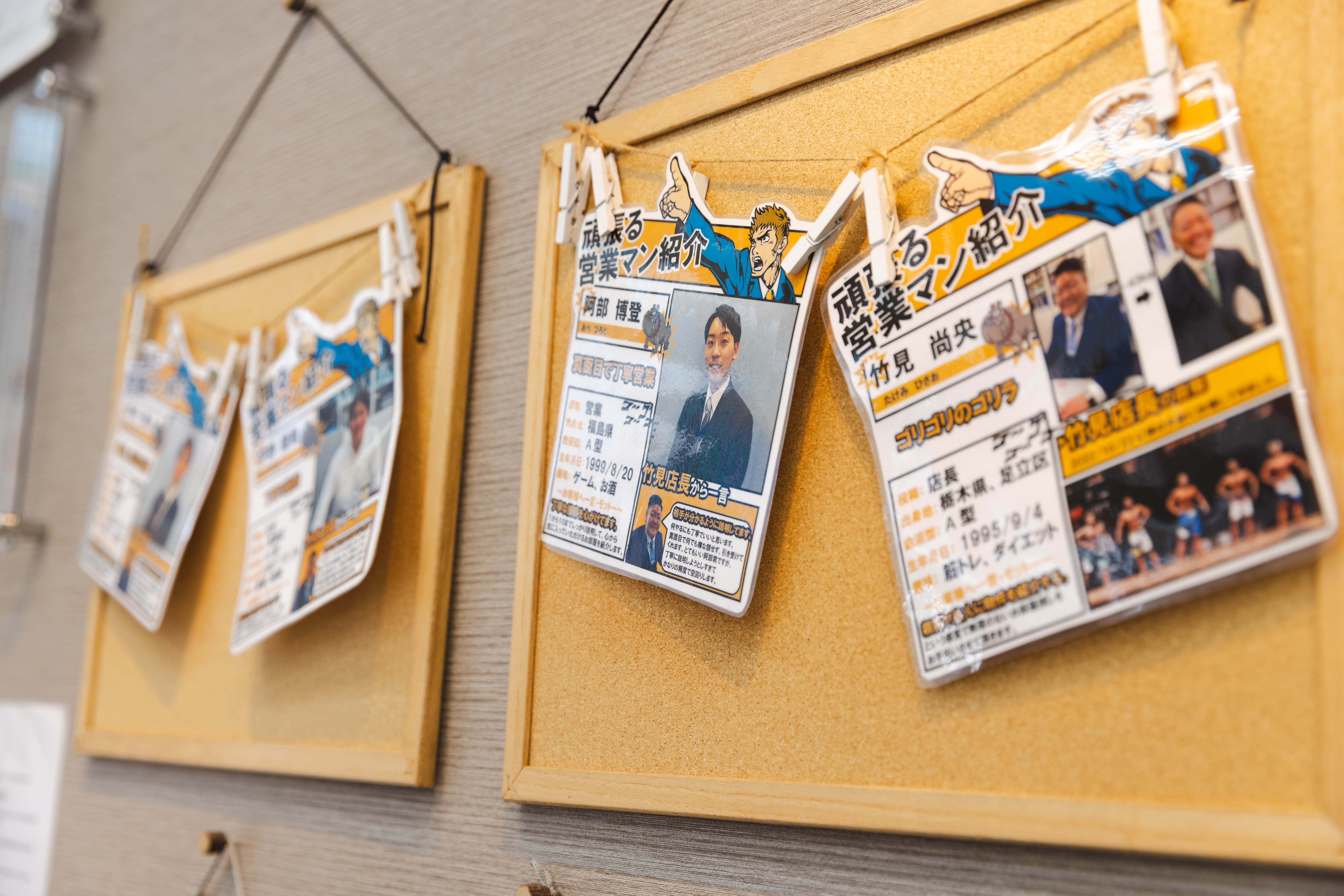 先輩社員の声